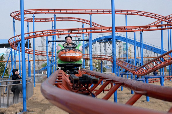 Wild Mouse Coaster for Sale