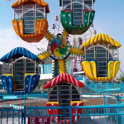 ferris wheel backyard